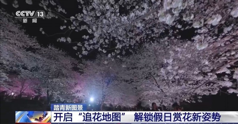 踏青“追花”、乡野观光……清明出游解锁新趋势