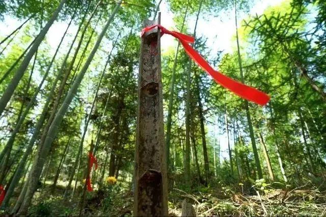 何以中国⑨  |  丹霞碧水间，这抹“红”绵延不息