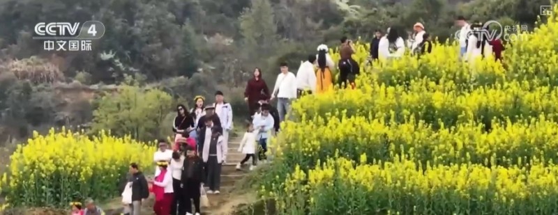 沙漠“锁边”生态日益向好引客来 文旅市场一路繁花释放“新”潜力