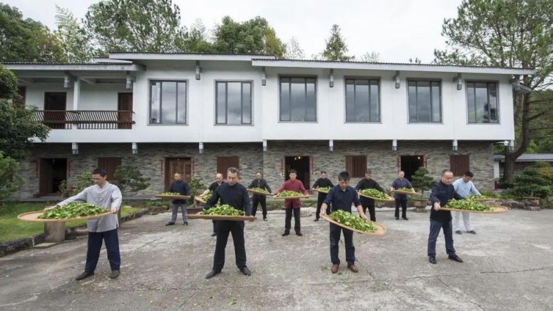 何以中国②丨一杯工夫茶，香飘千万里