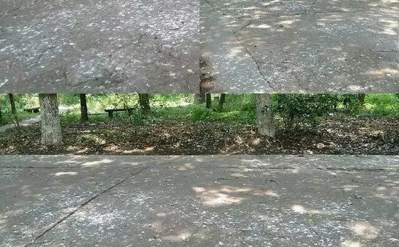 看丹观察丨对于“天屎之路”，除了“忍一忍”还能做点啥？
