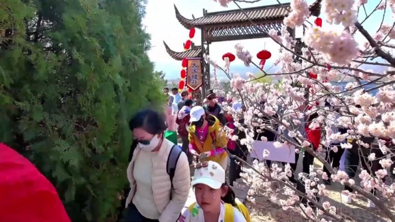 新华视点｜清明赏花文旅热 点燃消费新引擎