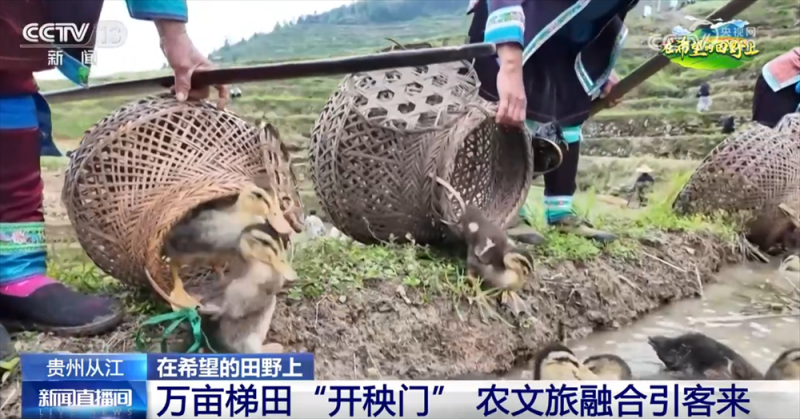 春管向“新”而行满满“科技范儿” 农文旅融合成为乡村振兴强引擎