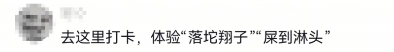 看丹观察丨对于“天屎之路”，除了“忍一忍”还能做点啥？