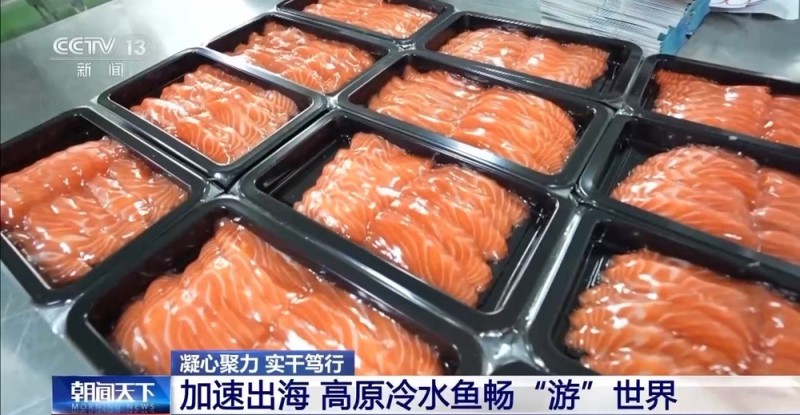 凝心聚力 实干笃行丨青海外贸缘何实现增速全国第一