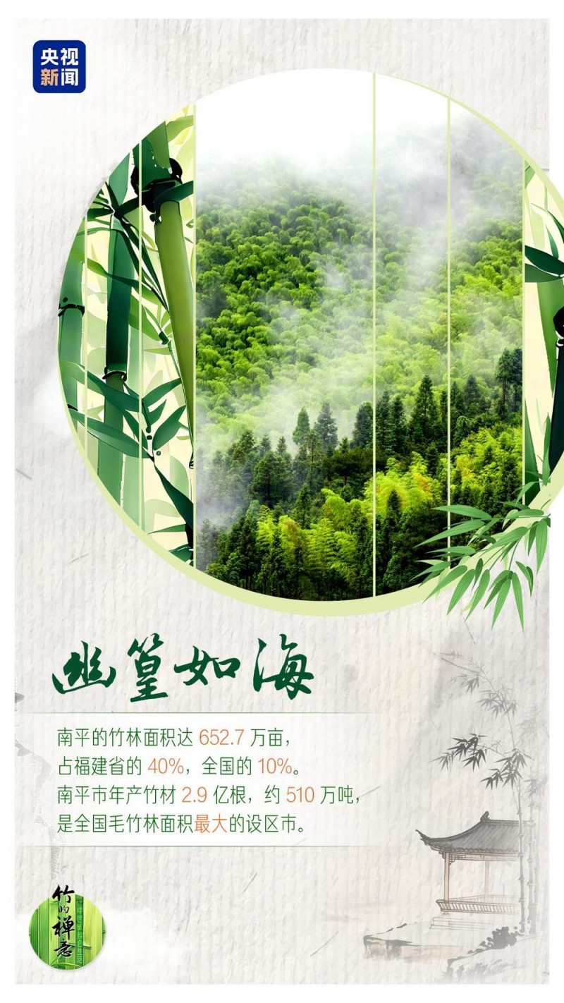 何以中国｜从竹子“七十二变”看竹乡绿色变迁