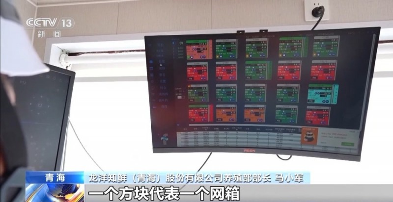 凝心聚力 实干笃行丨青海外贸缘何实现增速全国第一