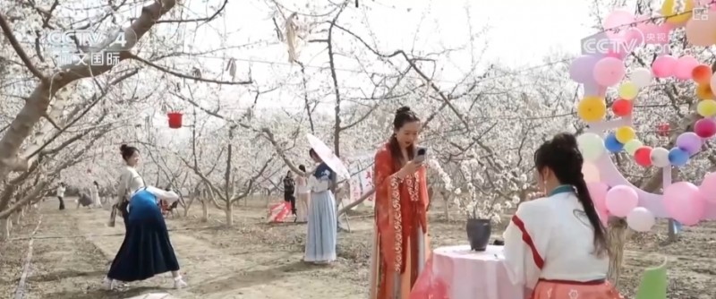 沙漠“锁边”生态日益向好引客来 文旅市场一路繁花释放“新”潜力