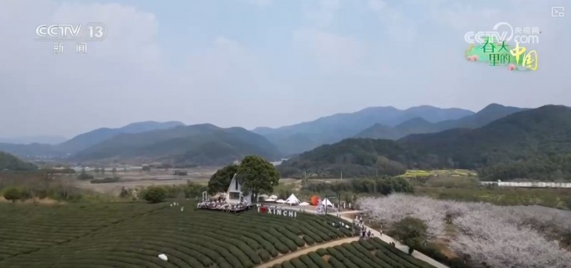 听音乐、赏美景、品美食……“颜值”变“产值”激活乡村春日消费新场景