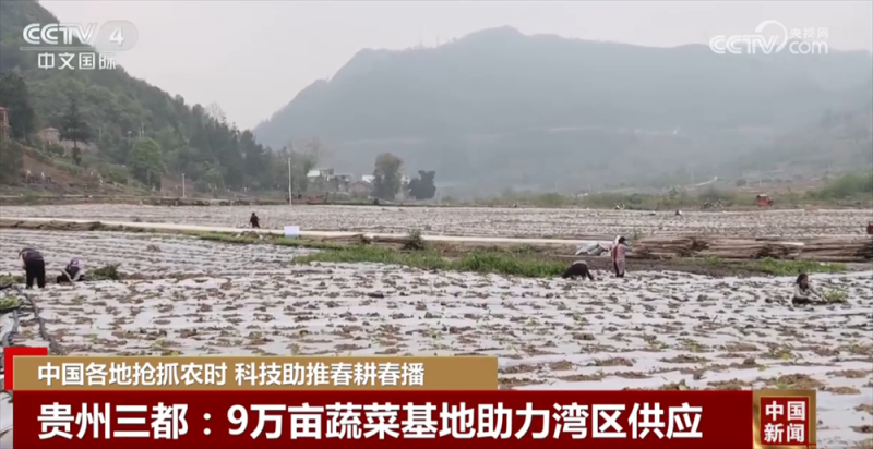 各地“新”潮澎湃勾勒绚丽“科技春耕图” 为丰产增收开好“局”