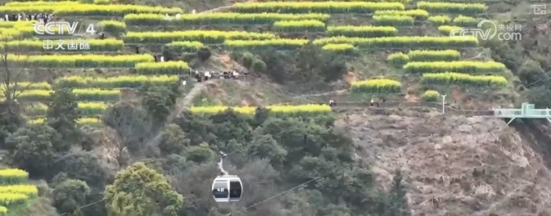 沙漠“锁边”生态日益向好引客来 文旅市场一路繁花释放“新”潜力