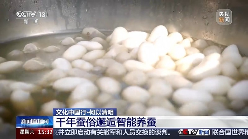 文化中国行丨播种“冰麦”、“龙王”巡游、智能养蚕 他们这样过清明→