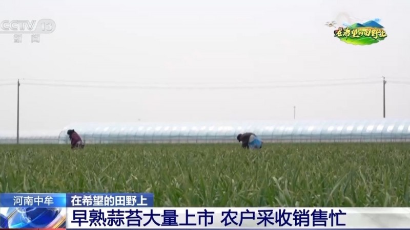 田间地头“上新”啦！无人机、北斗导航助力春耕