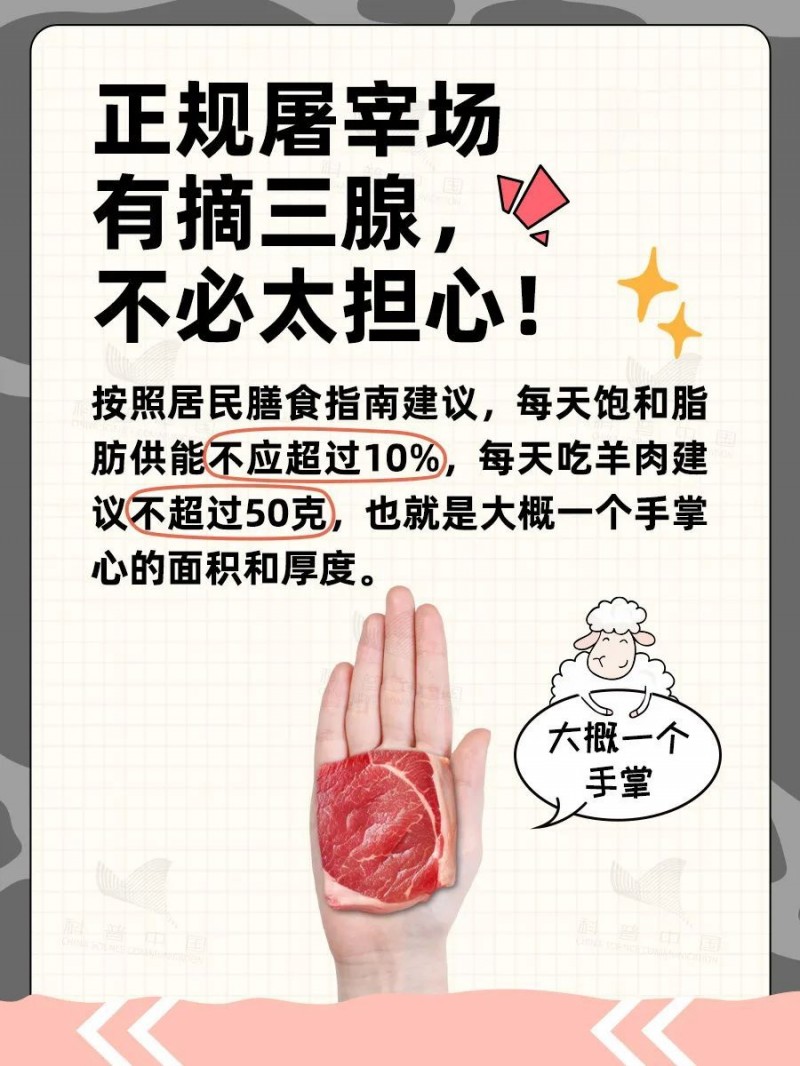 羊的哪些部位吃不得？食用指南附羊肉卷挑选小贴士→