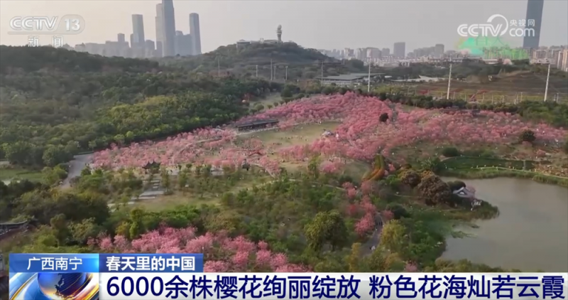 科技赋能让农业有“智”更有“质” “春赏花、秋收粮”模式拓宽群众增收渠道