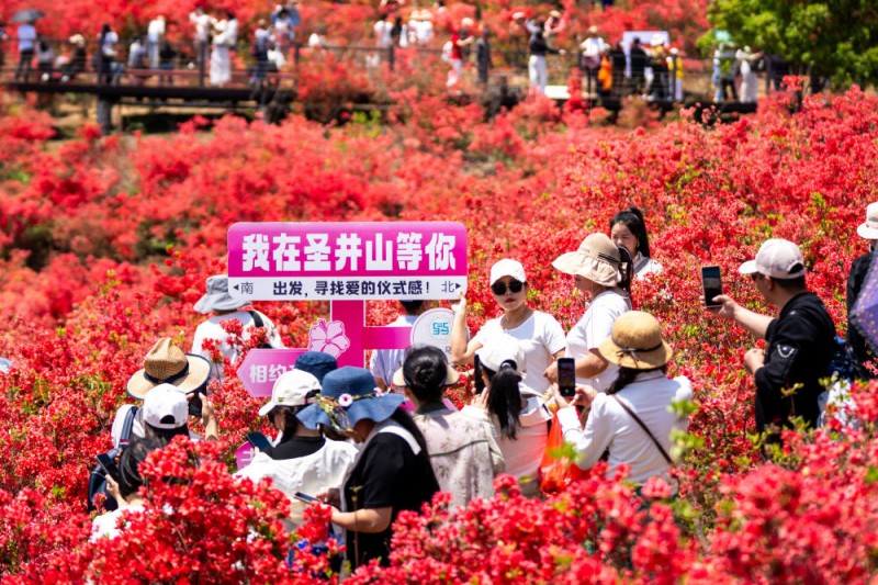 首季中国经济观察｜听，文旅消费迸发新活力