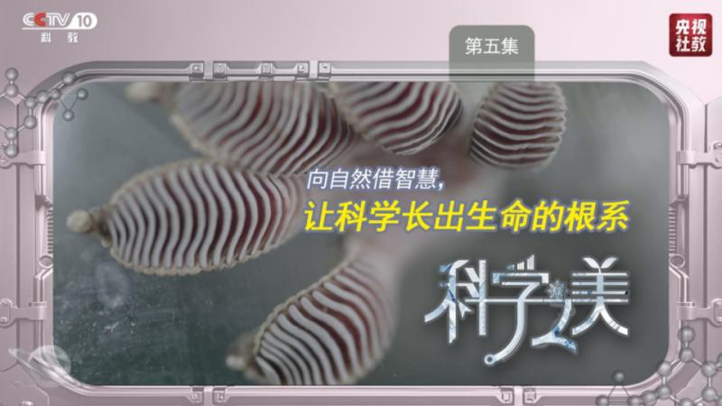 这部科学大片，每一帧都是壁纸！