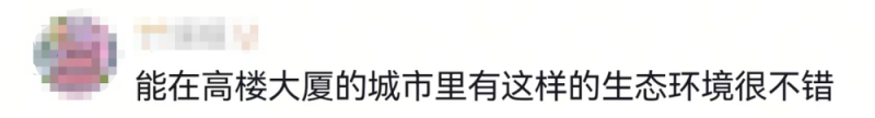 看丹观察丨对于“天屎之路”，除了“忍一忍”还能做点啥？