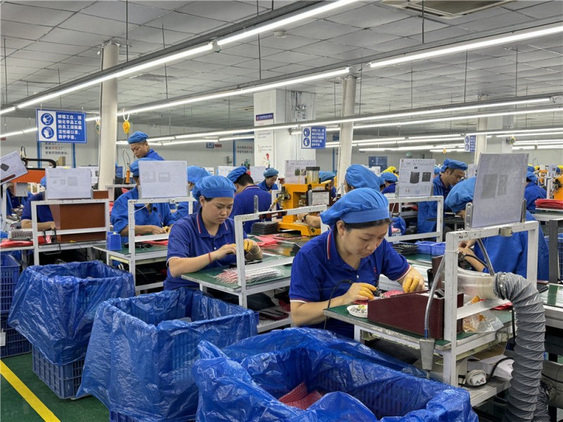 中国经济样本观察・县域样本篇｜这个西部县城为何聚集了上万家民营企业？