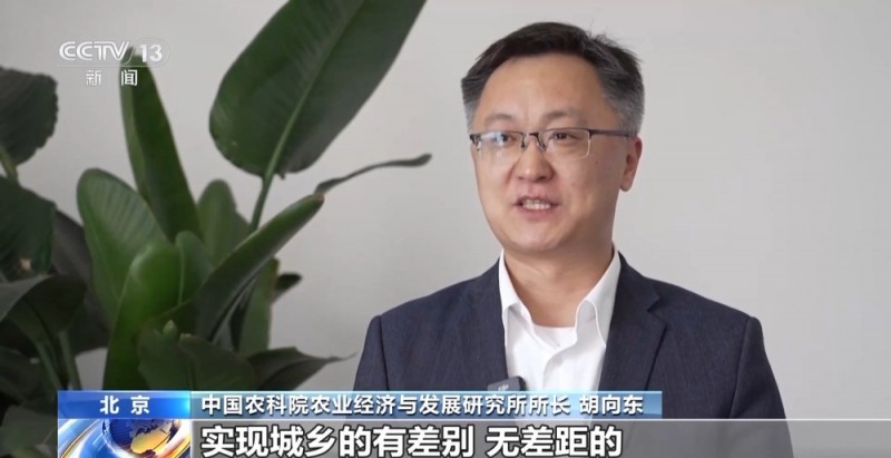 “城乡有差别、无差距” 2024－2035乡村这样变