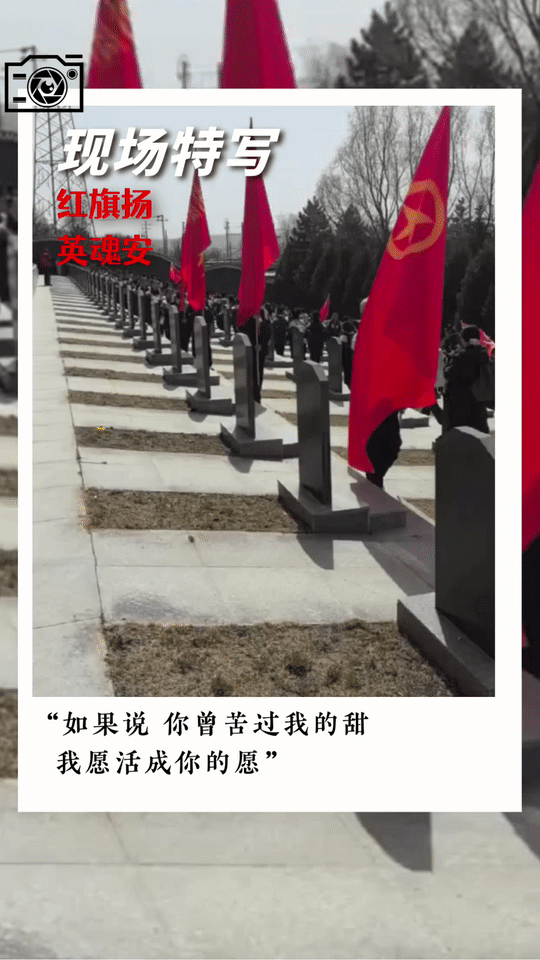 动态海报：少年徒步百里祭英烈 留下这些感人瞬间