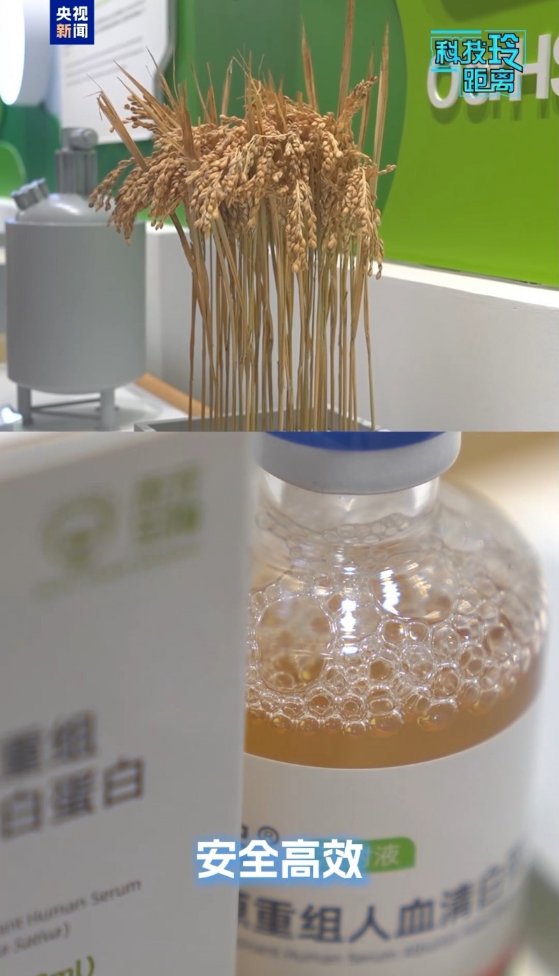 稻米竟能造血？这项产品有望今年上市