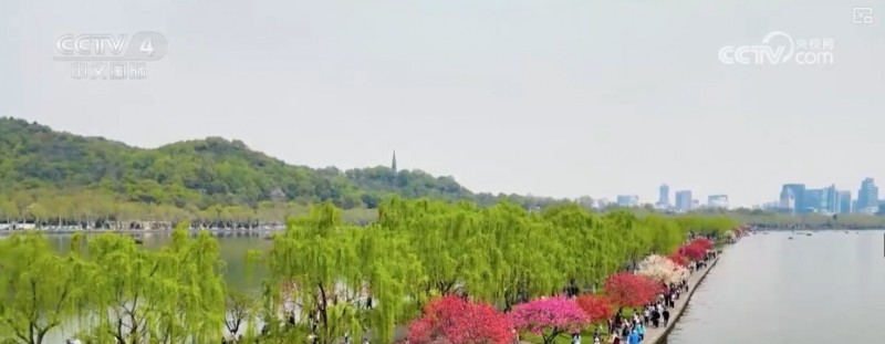 沙漠“锁边”生态日益向好引客来 文旅市场一路繁花释放“新”潜力