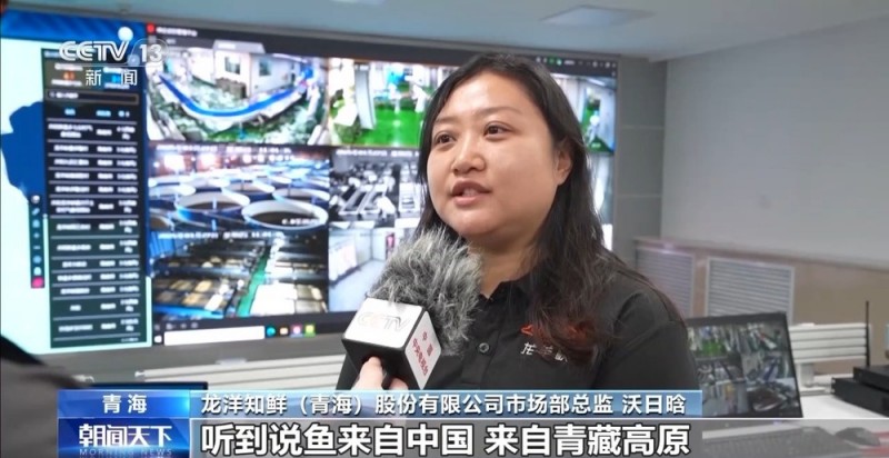 凝心聚力 实干笃行丨青海外贸缘何实现增速全国第一
