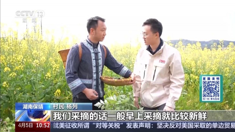 清明必吃！这三种传统美食让你一口穿越回童年