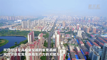 走进民企看发展｜借“智”攀高 民营企业“显身手”