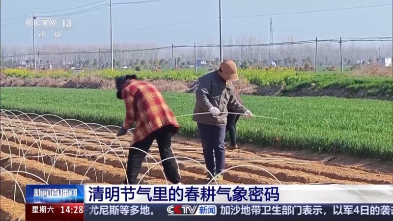 清明也分“早晚前后” 揭秘藏在节气里的农事密码