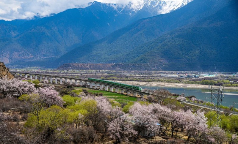 文旅新探｜乘坐高原复兴号，寻访藏家桃花香