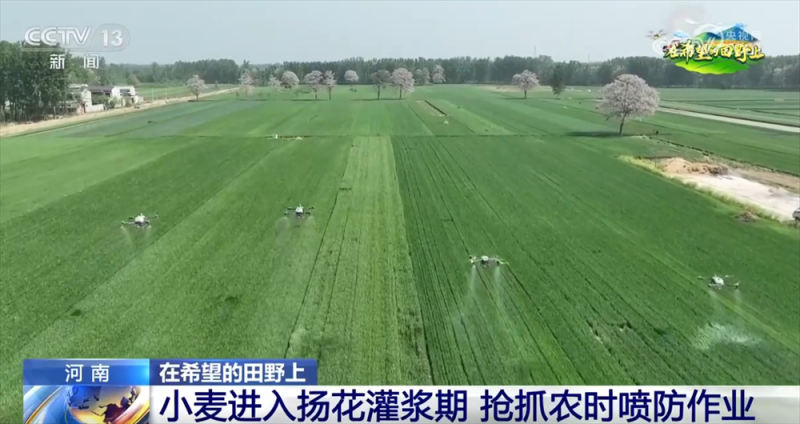 春管向“新”而行满满“科技范儿” 农文旅融合成为乡村振兴强引擎