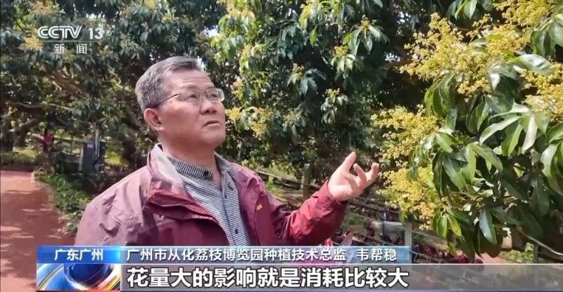 南粤之窗丨水果大省的“新出路”