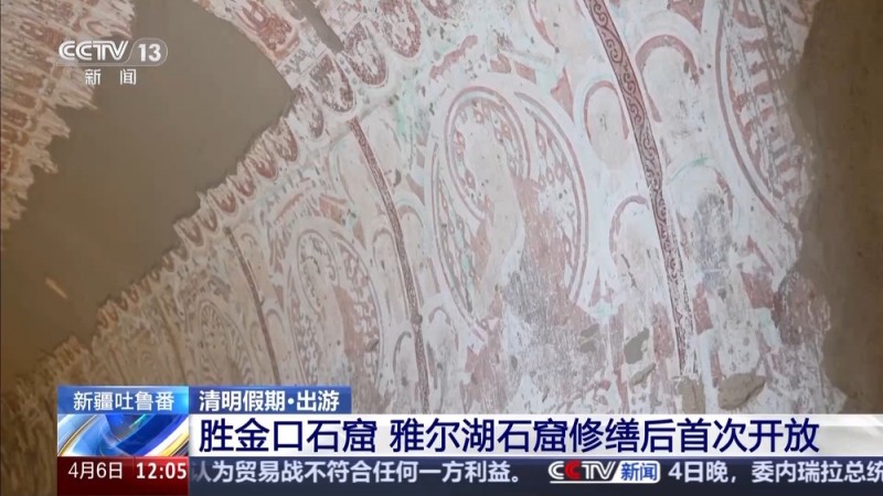 北上赏花  南下踏青  尽赏千里不同春