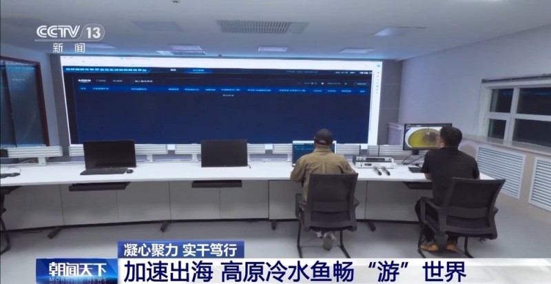 凝心聚力 实干笃行丨青海外贸缘何实现增速全国第一
