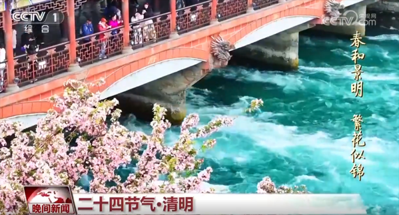 “梨花风起正清明” 神州大地春和景明 恰是一年春好处