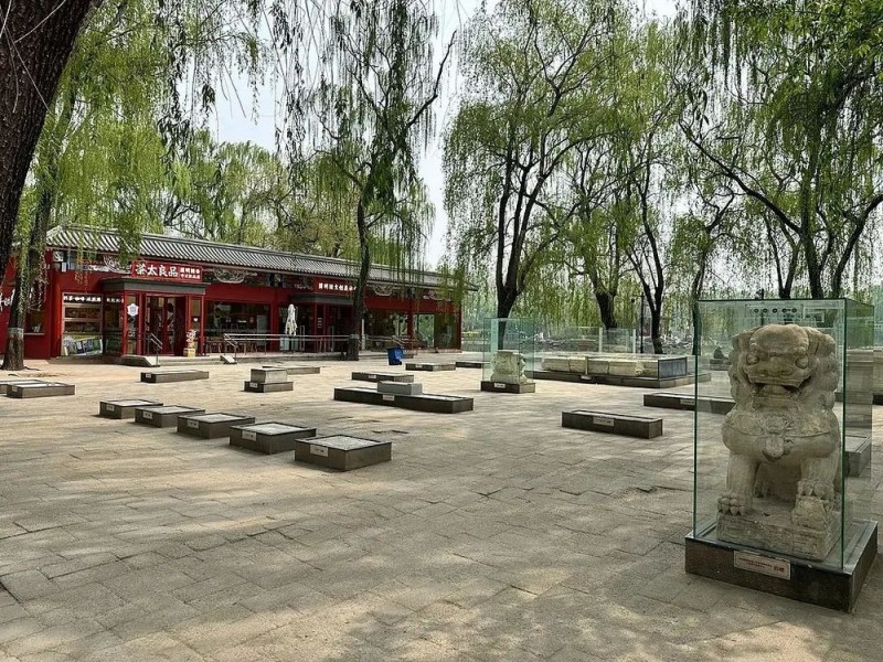14级阵风已抵北京！全国超一半省份将受影响！居家避险牢记→
