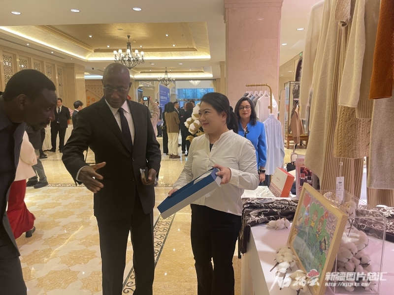 赴一场春日里开放合作之约――新疆在京举办有关国家驻华使节交流会侧记