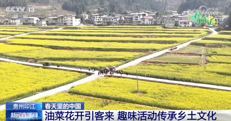 科技赋能让农业有“智”更有“质” “春赏花、秋收粮”模式拓宽群众增收渠道