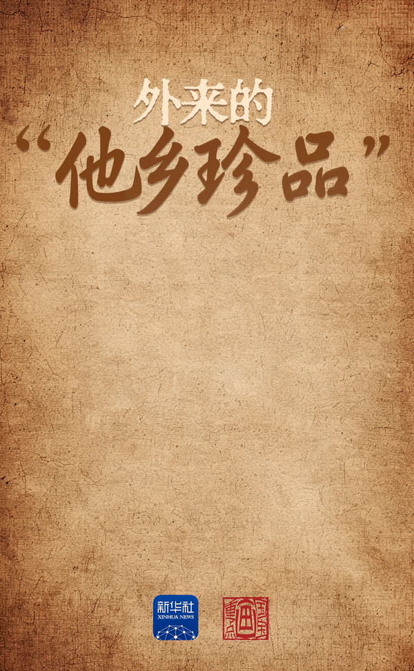 国宝画重点｜探秘青藏高原湖畔的史前生活