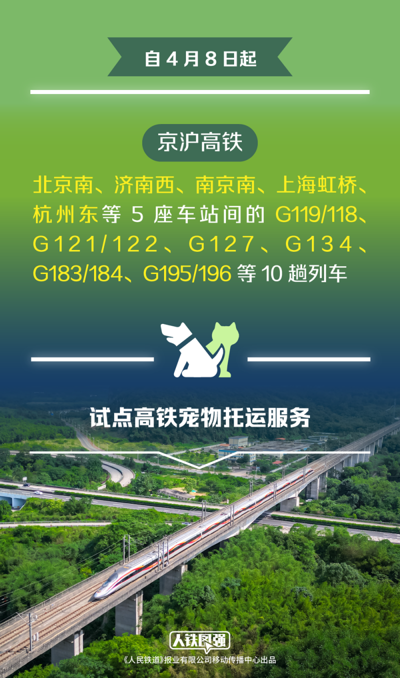 宠物猫狗可坐高铁了！铁路12306推出“宠物托运”功能