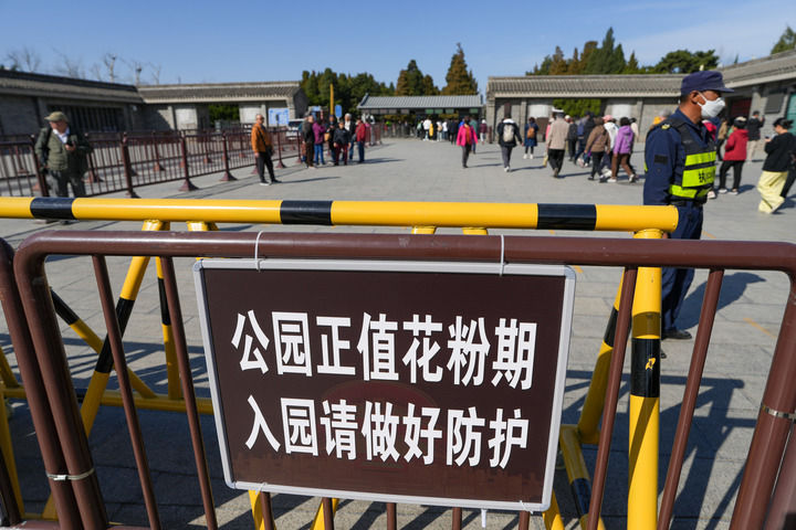 春季花粉过敏面面观 | 新华深读