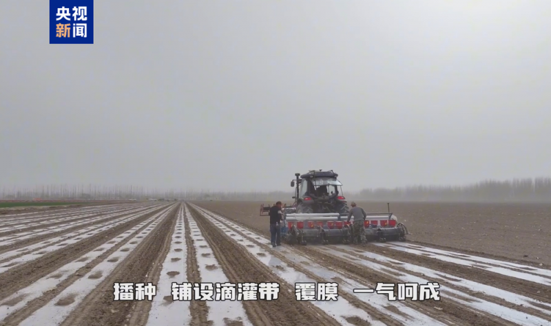 智慧农机“打头阵” 新疆棉花播种大场面又来“治愈”你了!