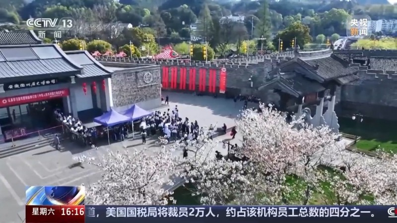 柳丝系春、纸鸢载愿 “清明赏春图鉴”里传统民俗有了新玩法