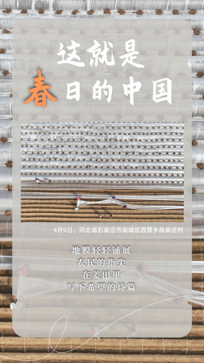 这就是春日的中国！
