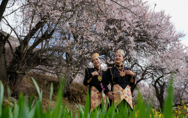 新华全媒+丨灼灼桃花织就高原生态画卷