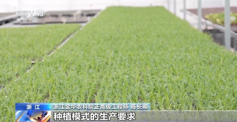 一线调研丨 农机“出海”忙 看春耕里的“全球生意”