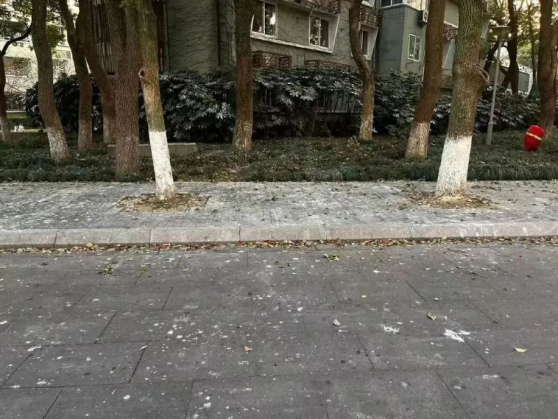 看丹观察丨对于“天屎之路”，除了“忍一忍”还能做点啥？