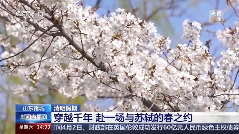 AI带你“穿越”回北宋 赴一场与苏轼的春之约